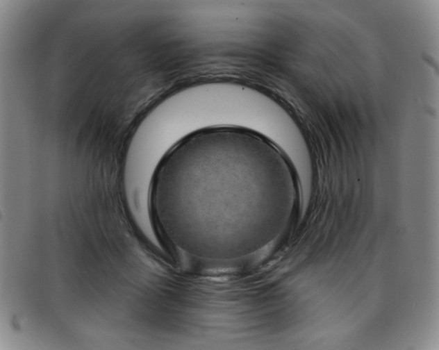 X0000098150411200804241744