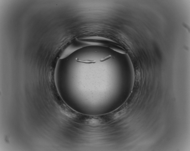 X0000098150412200804241744
