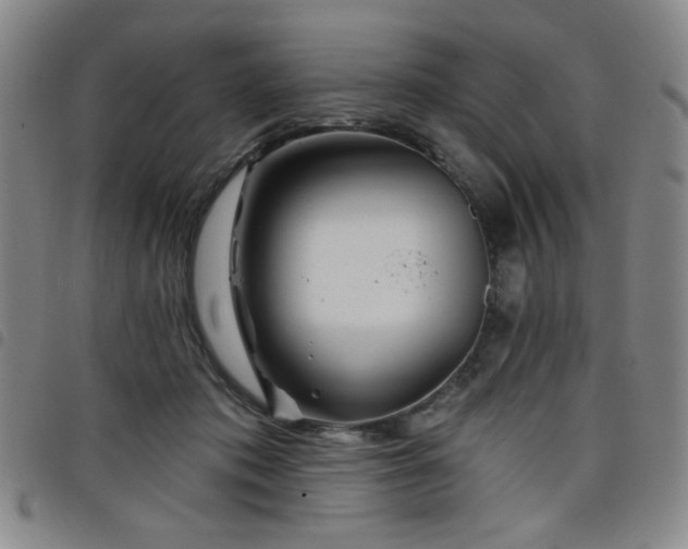 X0000098150413200804241744