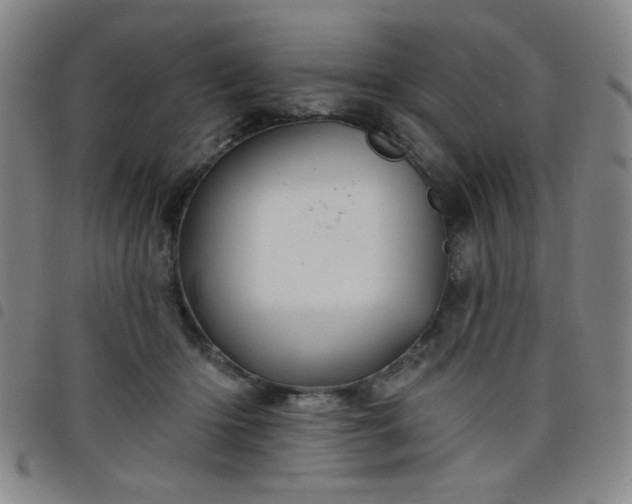 X0000098150414200804241744