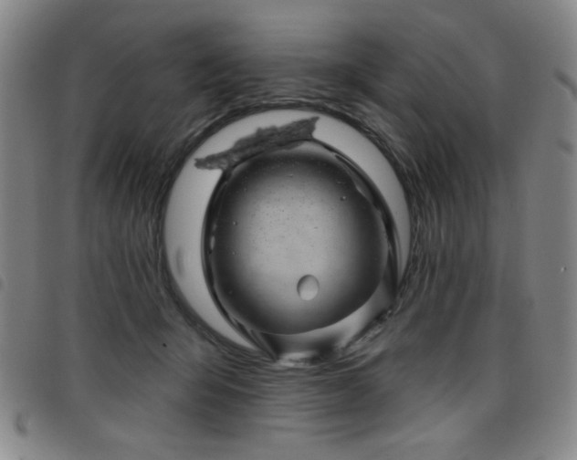 X0000098150415200804241744