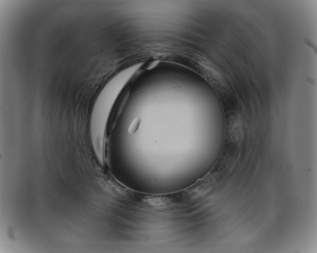 X0000098150417200804241744
