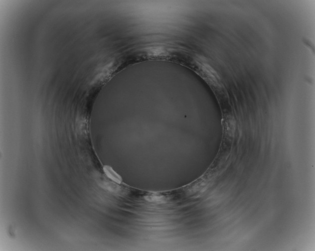X0000098150419200804241744