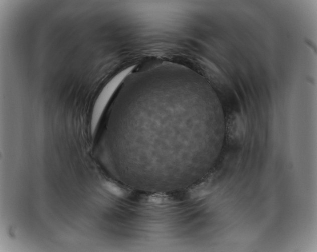 X0000098150420200804241744