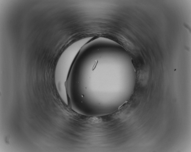 X0000098150421200804241744