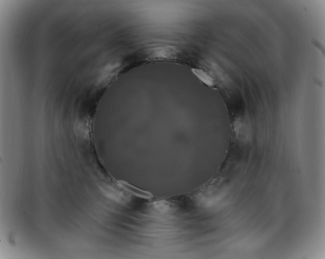 X0000098150423200804241744