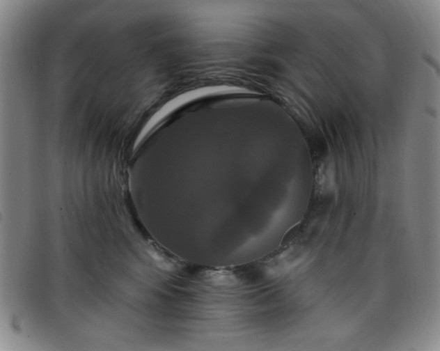 X0000098150424200804241744