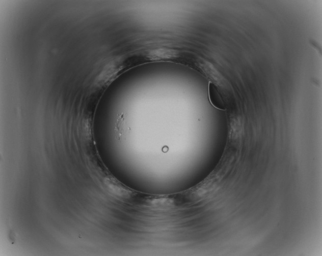 X0000098150426200804241744