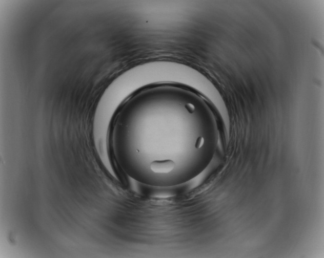 X0000098150427200804241744