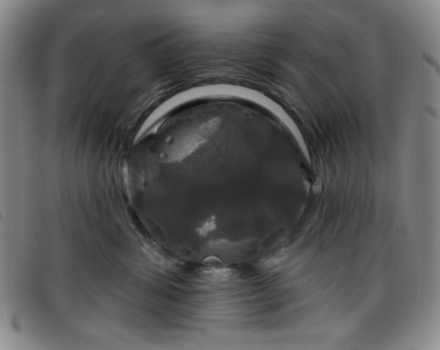 X0000098150428200804241744