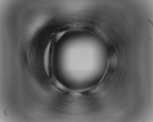 X0000098150429200804241744
