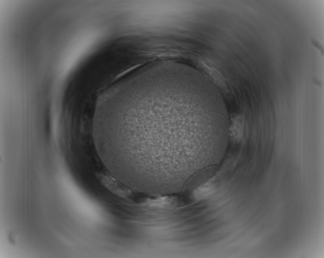 X0000098150430200804241744
