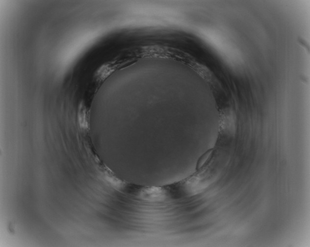 X0000098150431200804241744