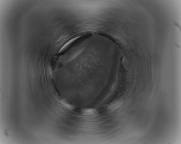 X0000098150432200804241744