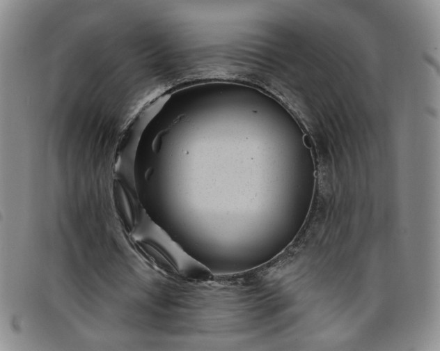 X0000098150434200804241743