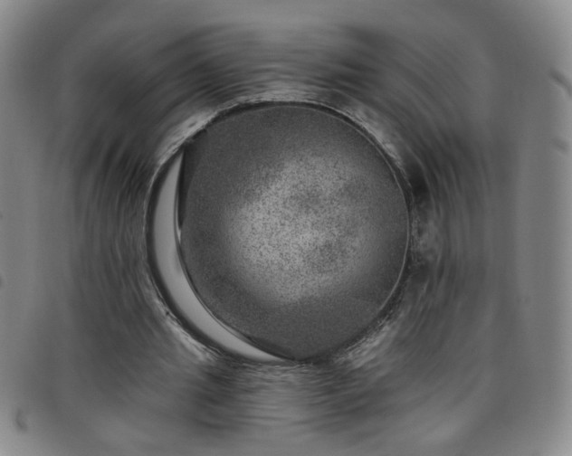 X0000098150437200804241743
