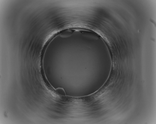 X0000098150438200804241743