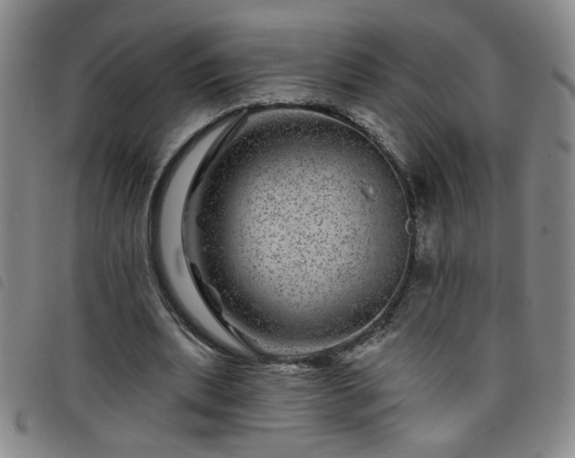 X0000098150439200804241743