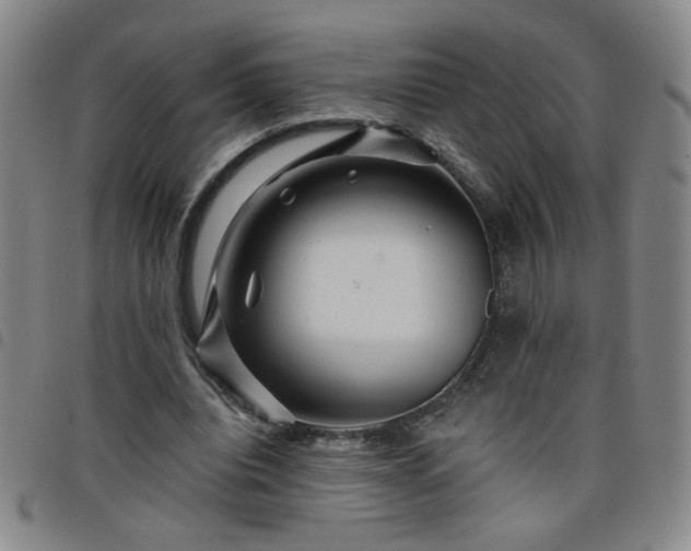 X0000098150440200804241743