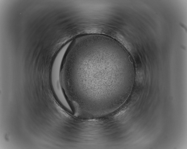 X0000098150441200804241743