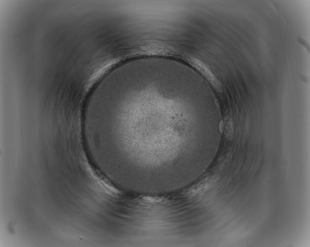X0000098150442200804241743