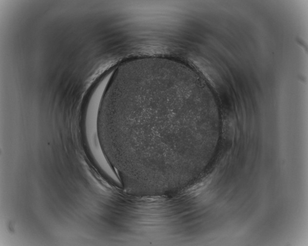 X0000098150443200804241743