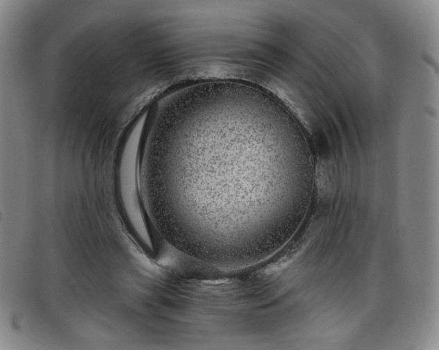X0000098150445200804241743