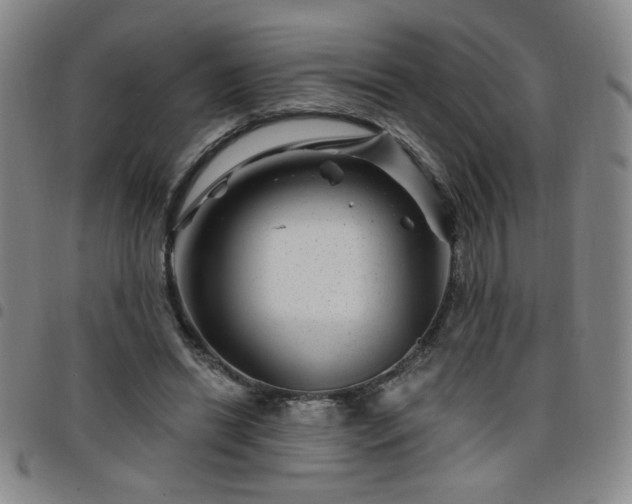 X0000098150446200804241743