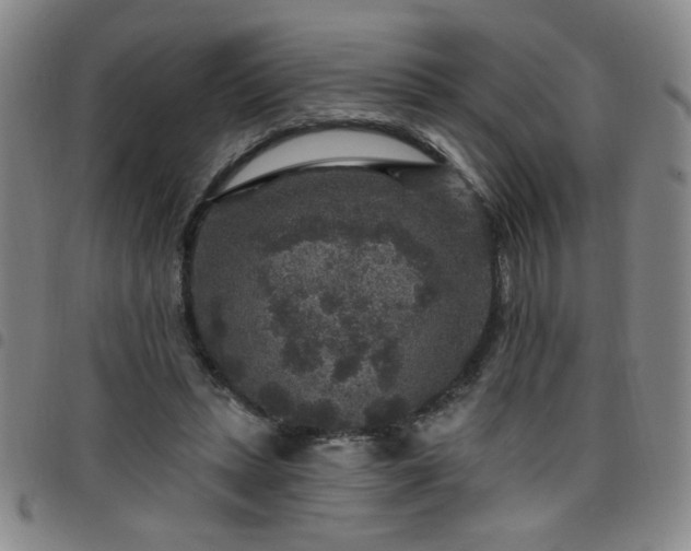 X0000098150447200804241743
