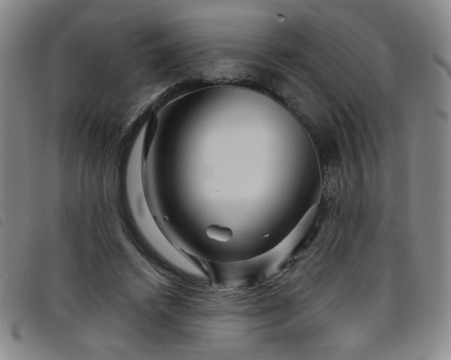 X0000098150448200804241743
