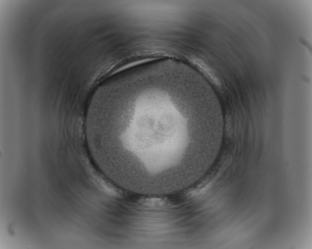 X0000098150449200804241743