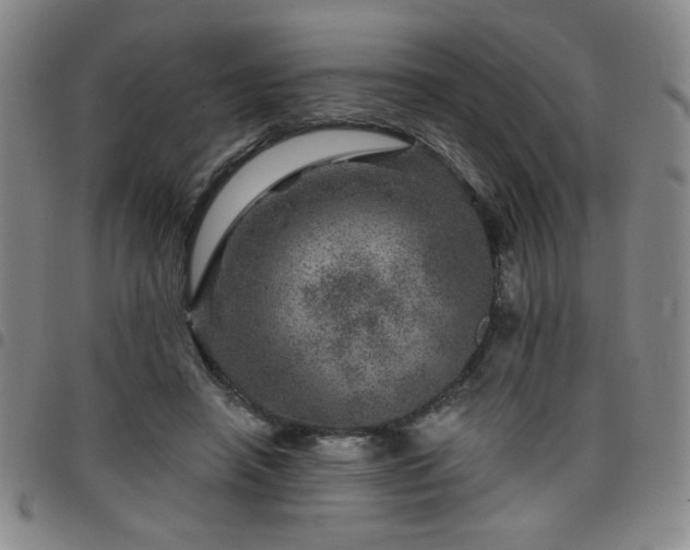 X0000098150450200804241743