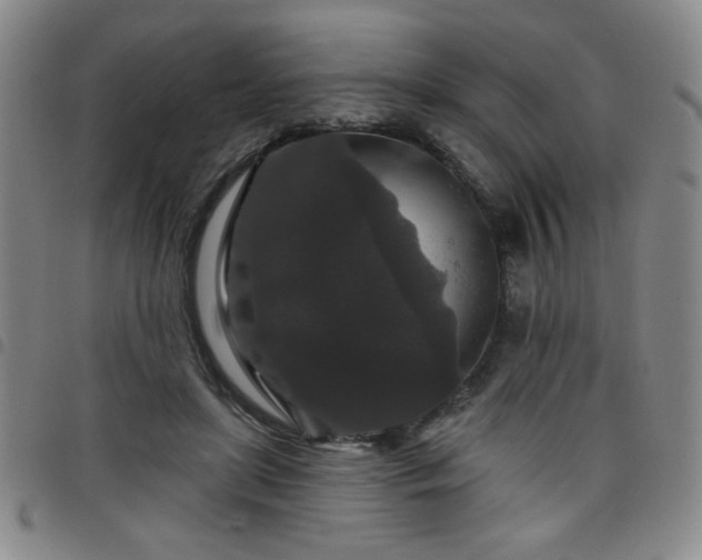 X0000098150451200804241743