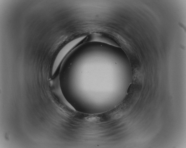 X0000098150452200804241743
