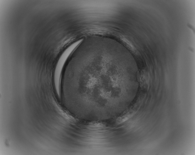 X0000098150454200804241743
