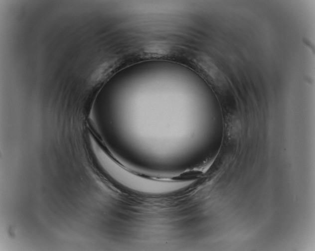 X0000098150455200804241743