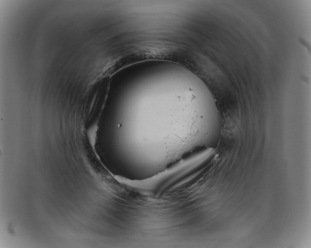 X0000098150456200804241743