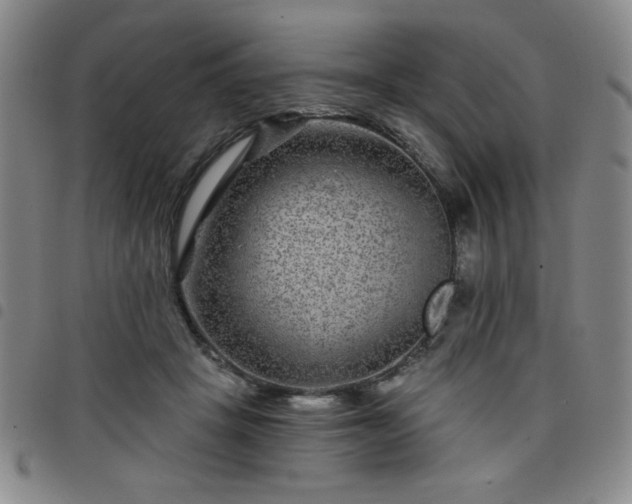 X0000098150457200804241743