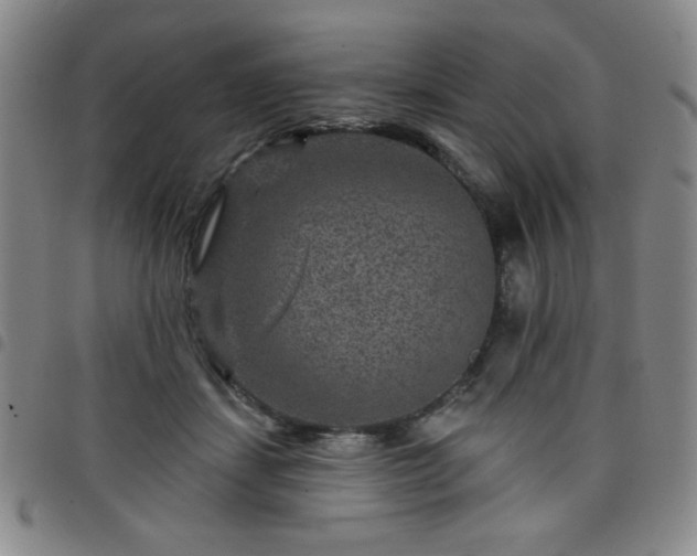 X0000098150459200804241744