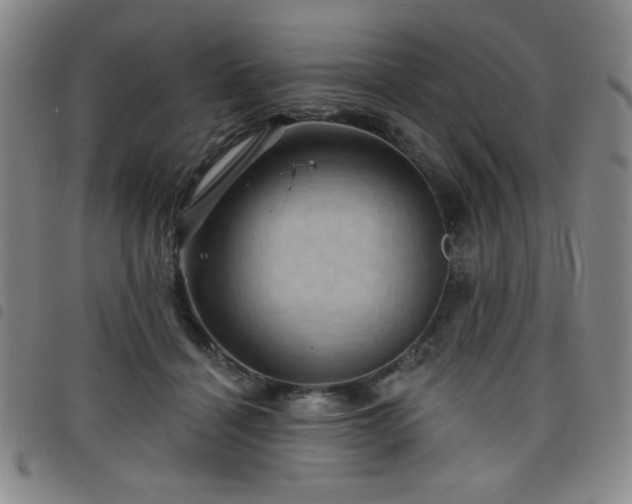 X0000098150460200804241744