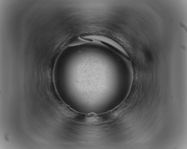X0000098150461200804241744