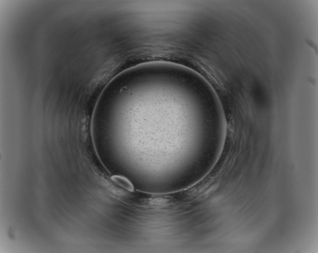 X0000098150462200804241744