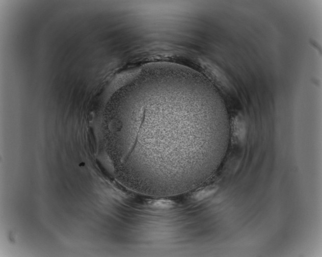 X0000098150463200804241744