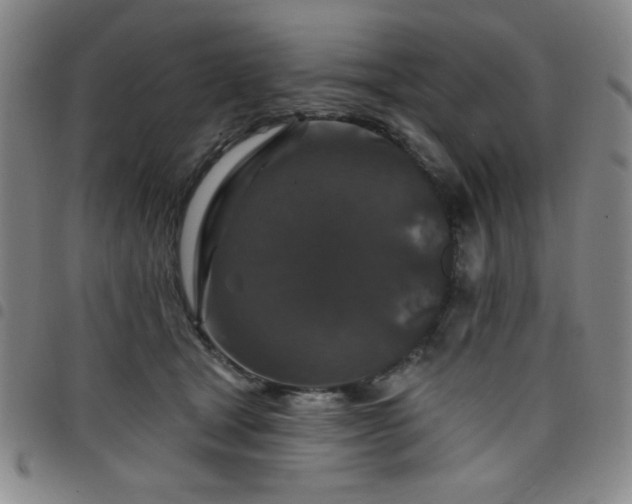 X0000098150465200804241744