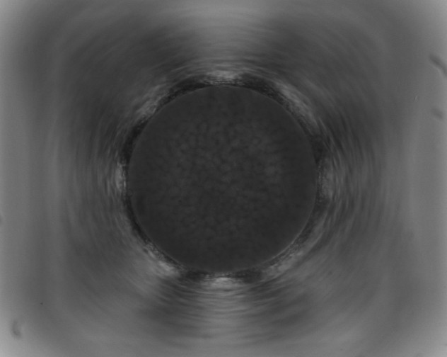 X0000098150467200804241744