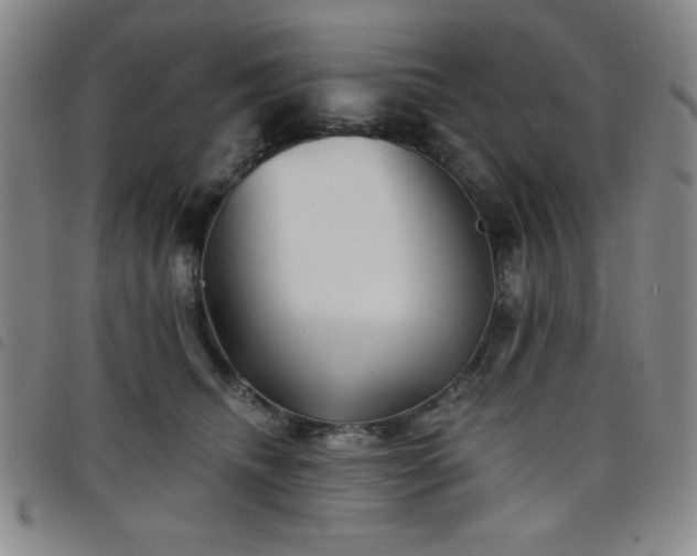 X0000098150468200804241744