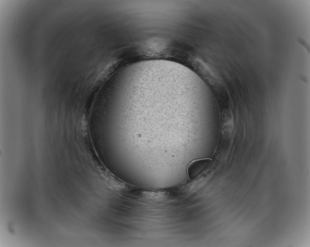 X0000098150469200804241744