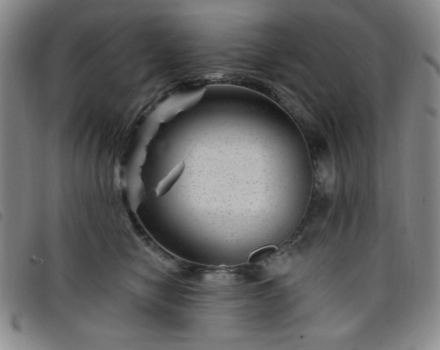 X0000098150470200804241744
