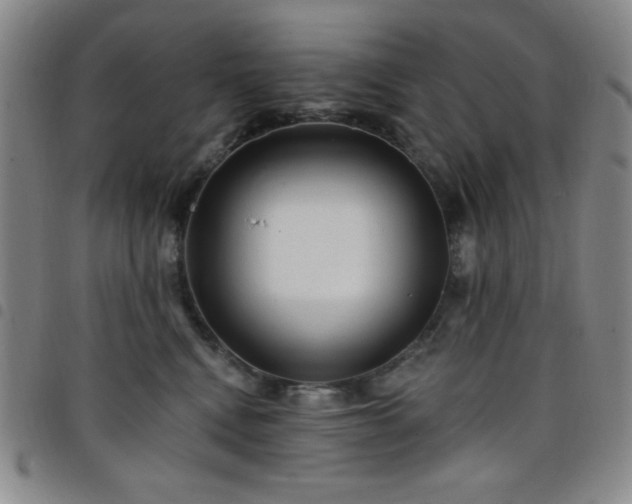 X0000098150472200804241744