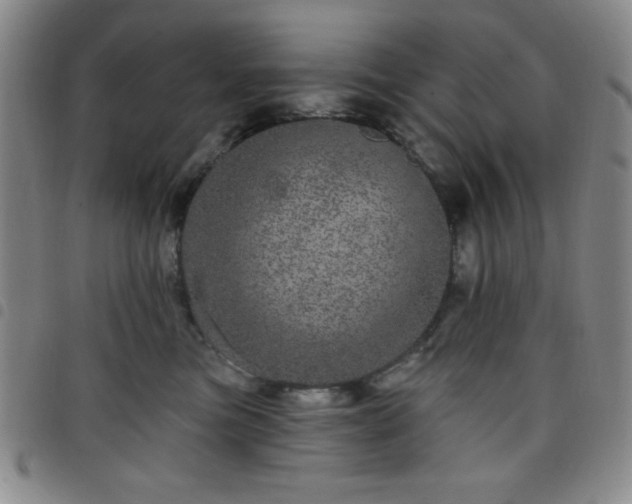 X0000098150473200804241744